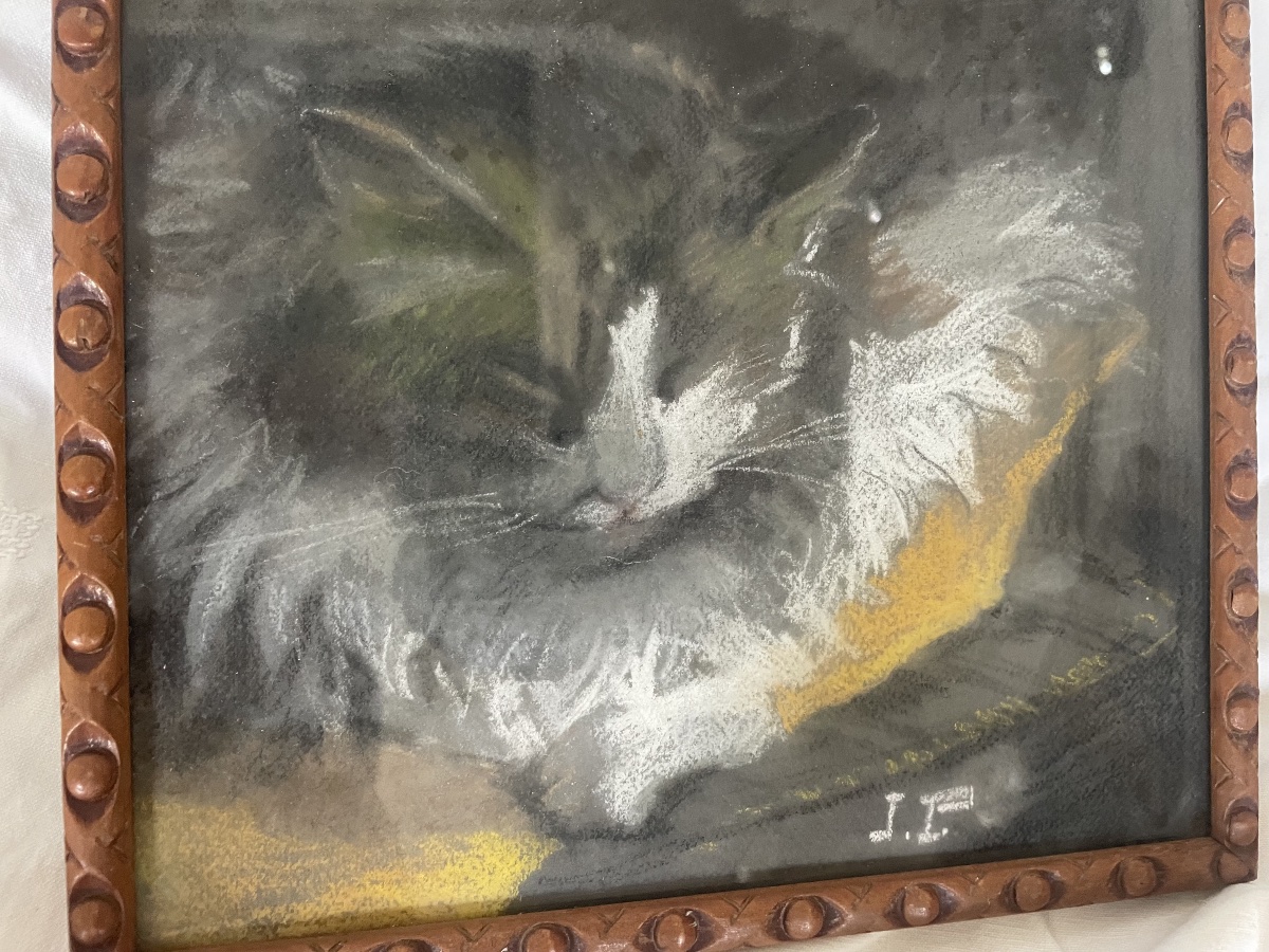 Pastel The Cat At Rest -photo-1