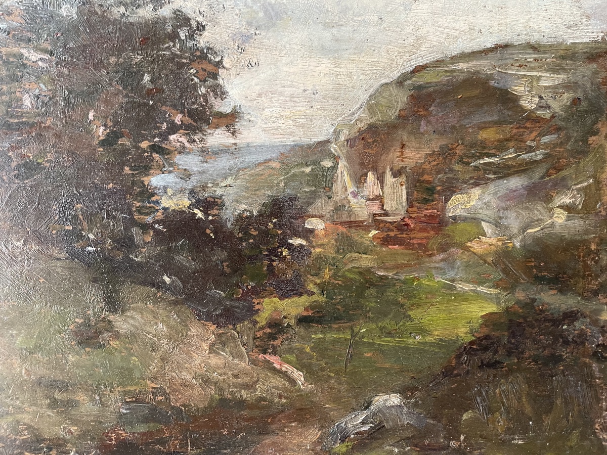 Paysage falaise bord de mer -photo-2