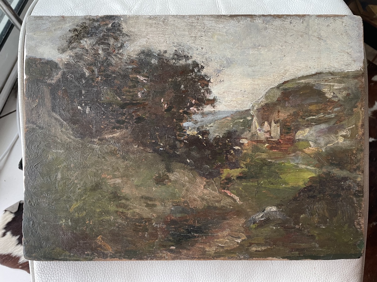 Paysage falaise bord de mer -photo-3