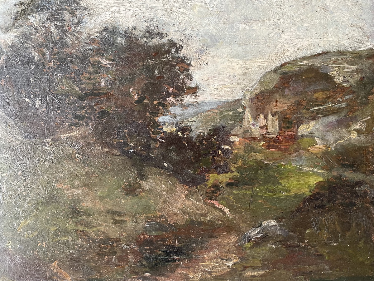 Paysage falaise bord de mer -photo-3