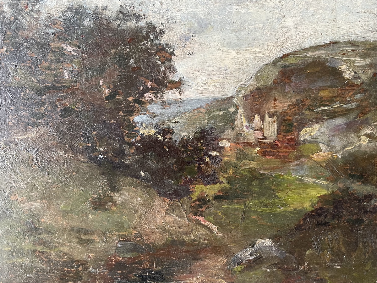 Paysage falaise bord de mer -photo-8