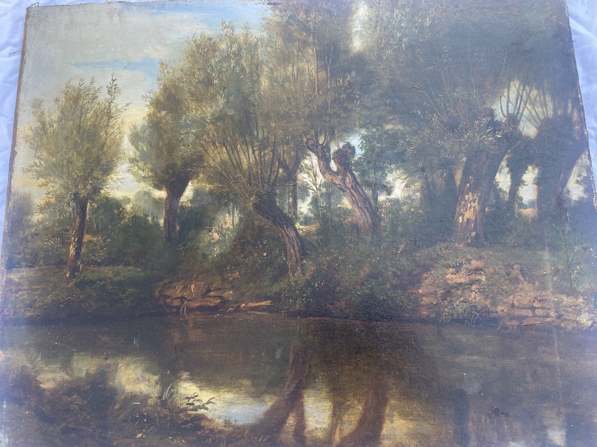 Étang arboré de Ciceri-photo-2