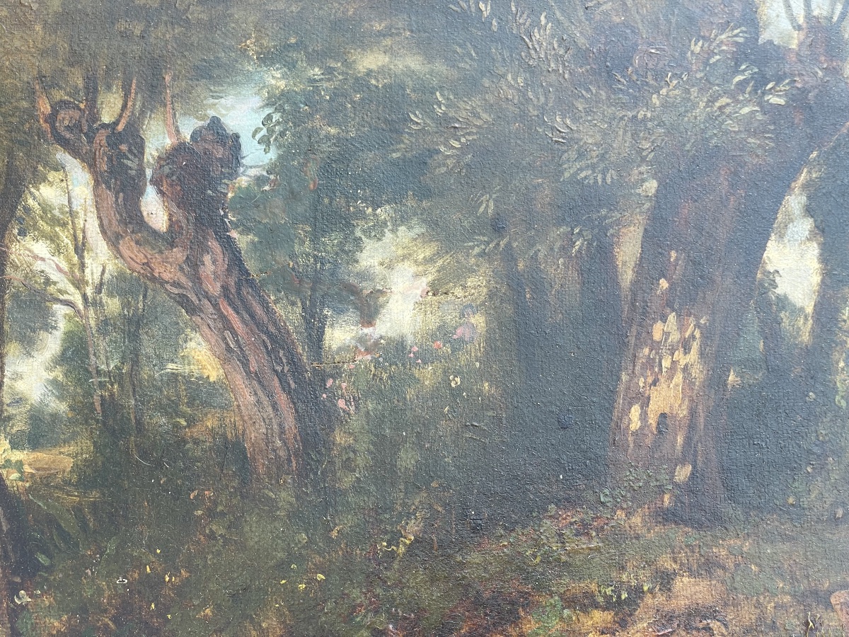 Étang arboré de Ciceri-photo-3