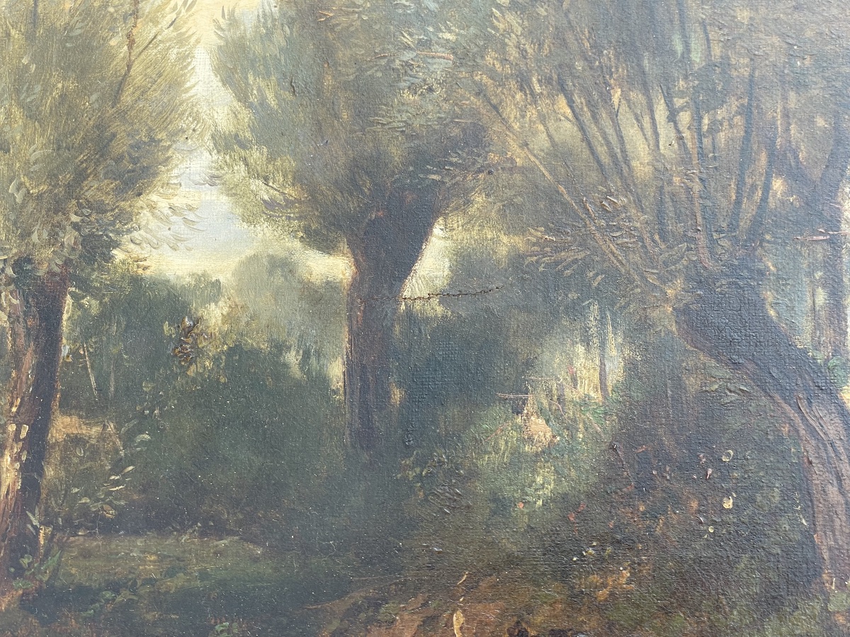 Étang arboré de Ciceri-photo-5