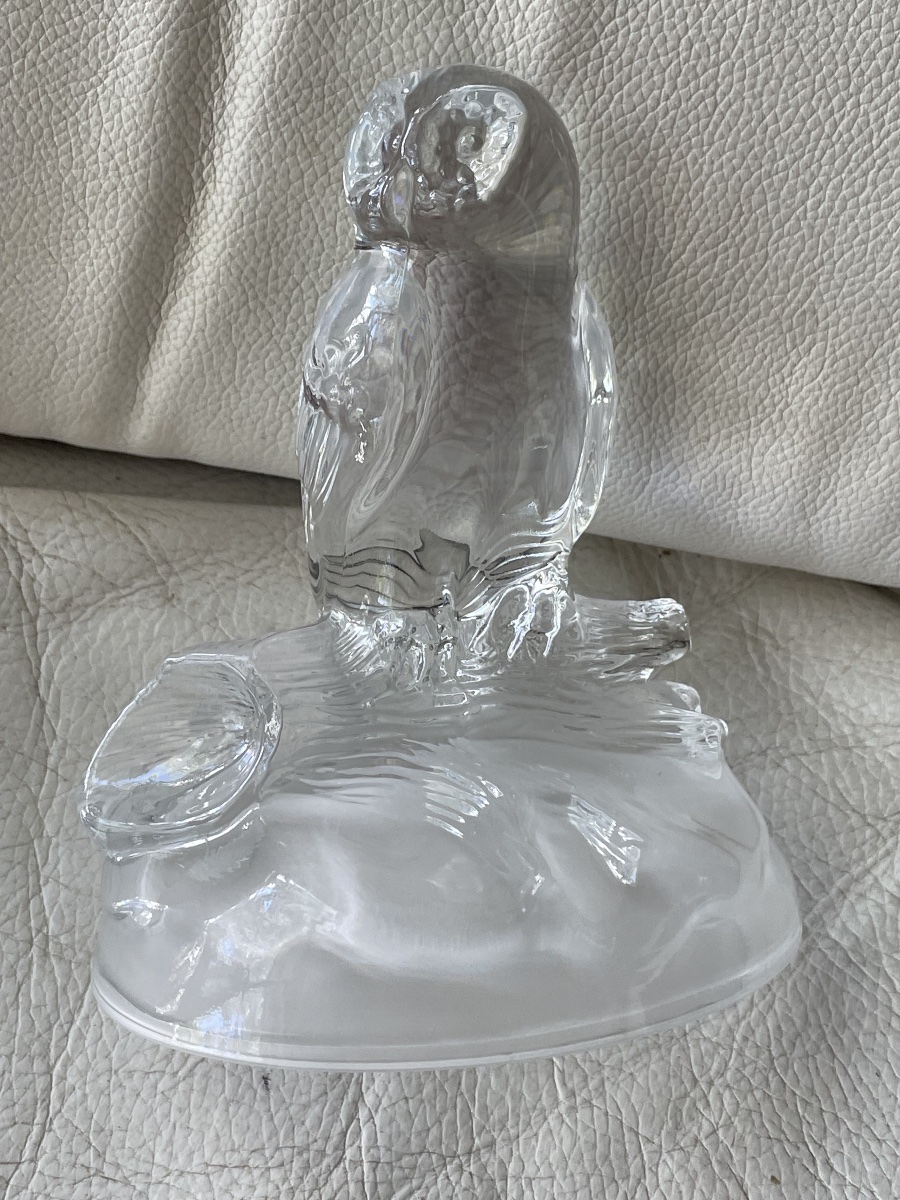 Chouette cristal  -photo-2