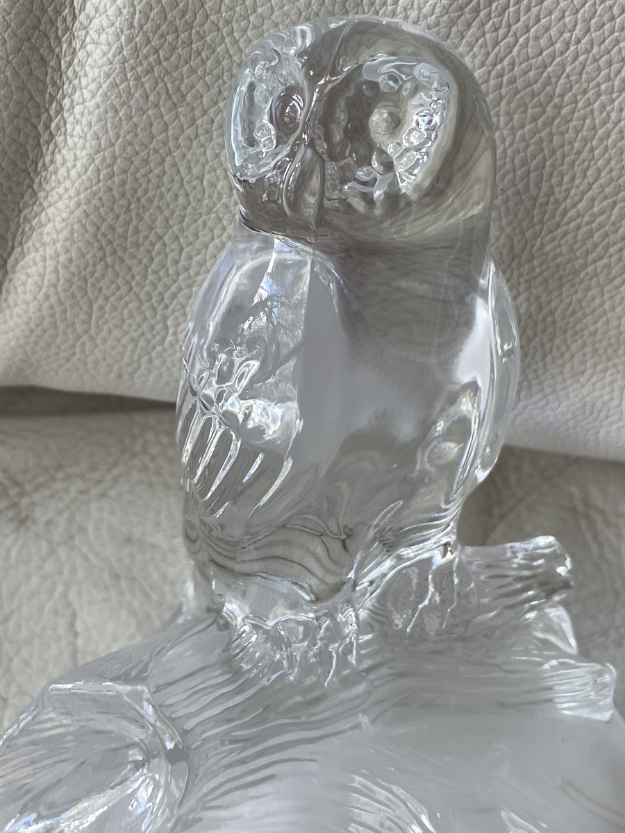 Chouette cristal  -photo-3