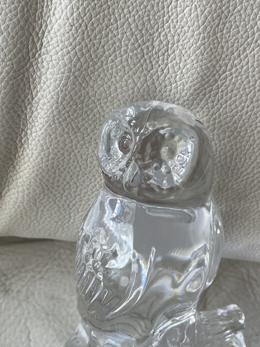 Chouette cristal  -photo-4