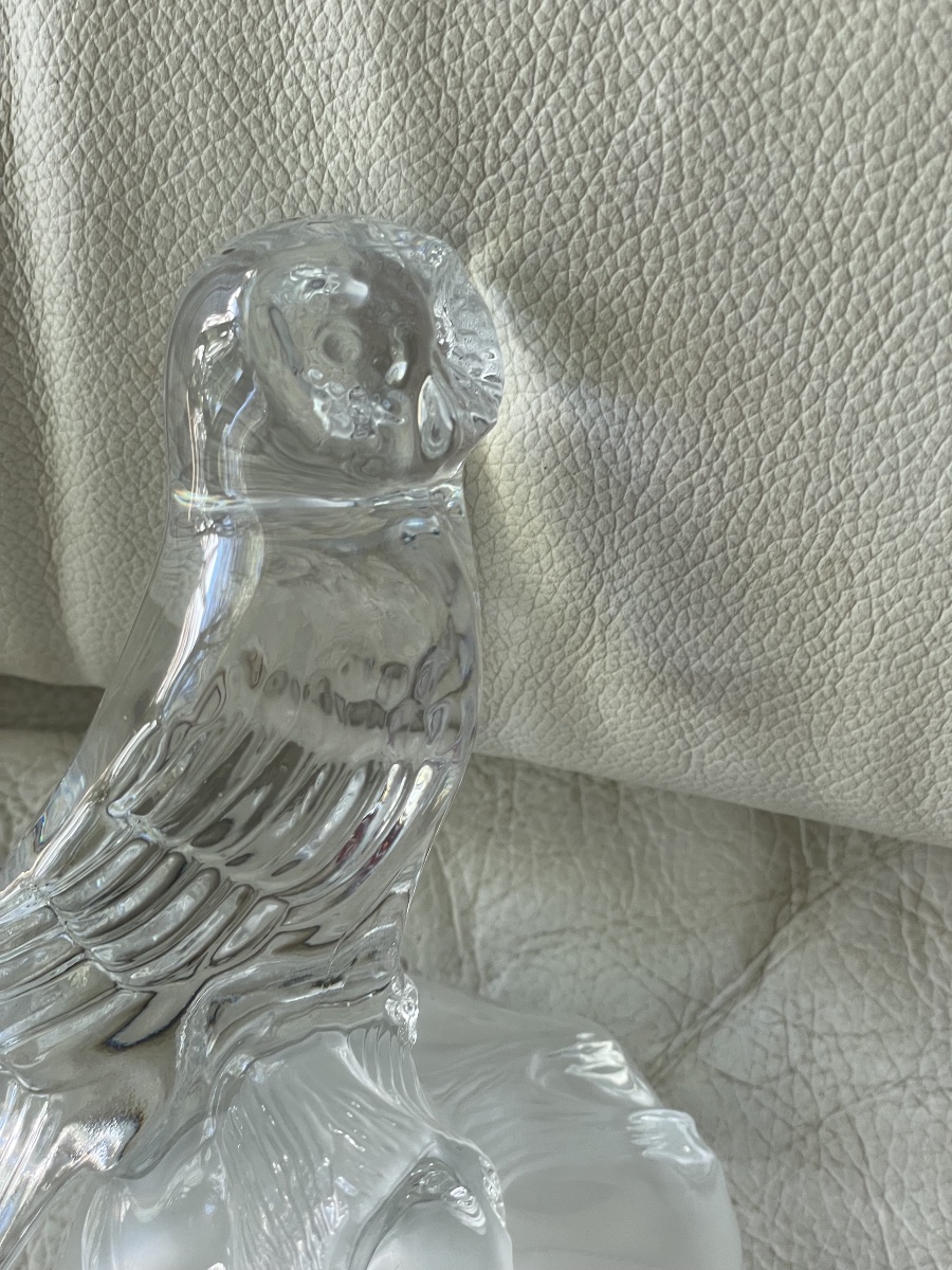 Chouette cristal  -photo-2