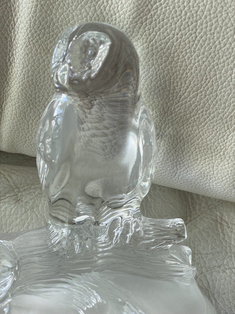 Chouette cristal  -photo-3