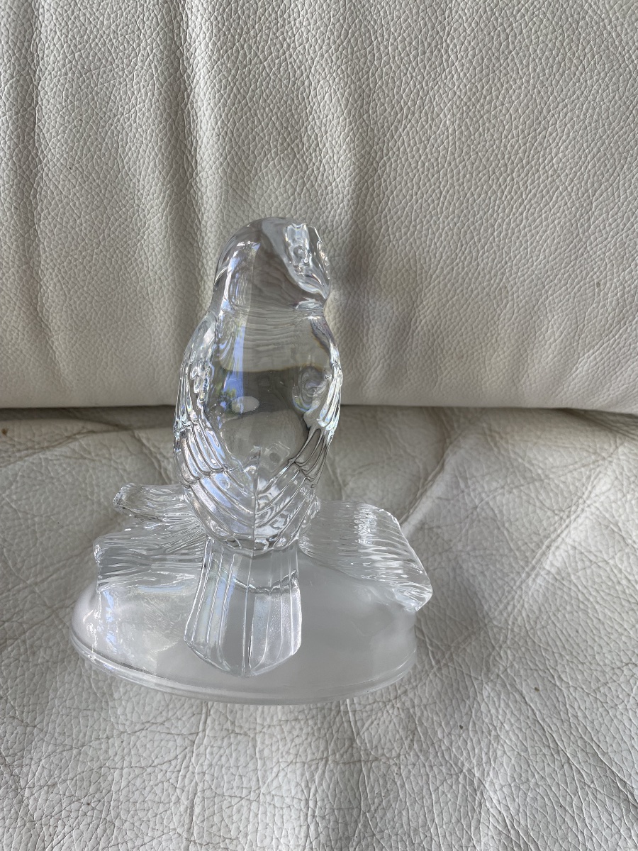 Chouette cristal  -photo-4