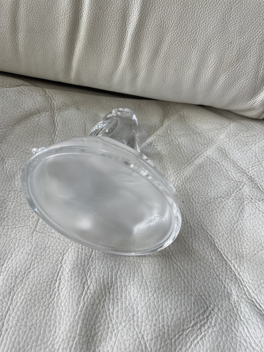 Chouette cristal  -photo-5