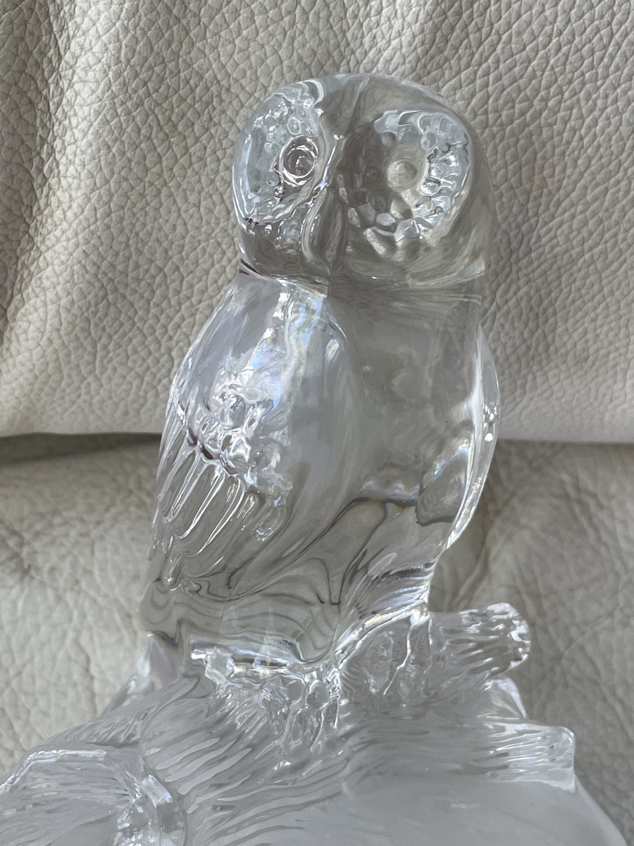 Chouette cristal  -photo-6