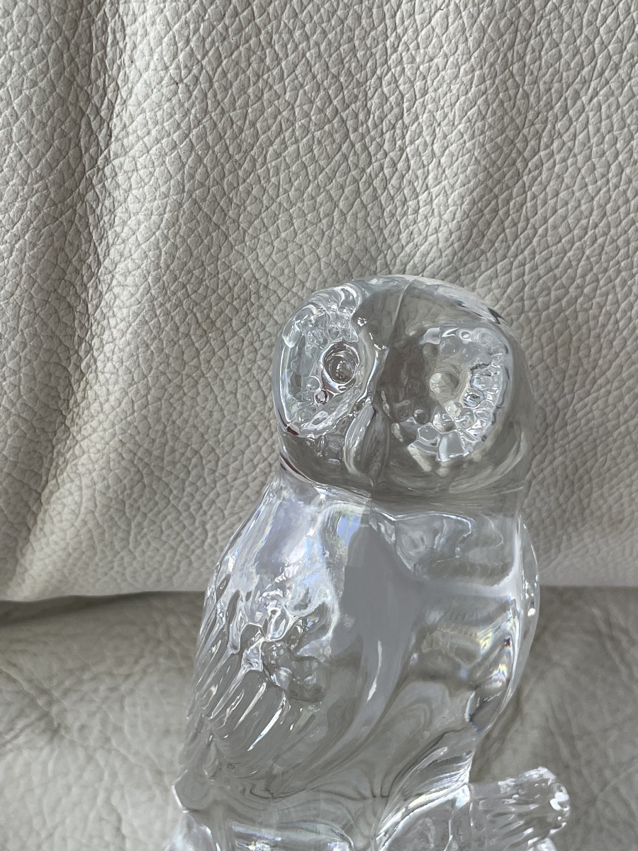 Chouette cristal  -photo-7
