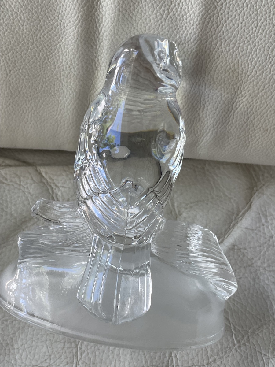 Chouette cristal  -photo-8