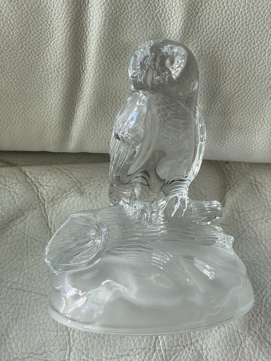 Chouette cristal  