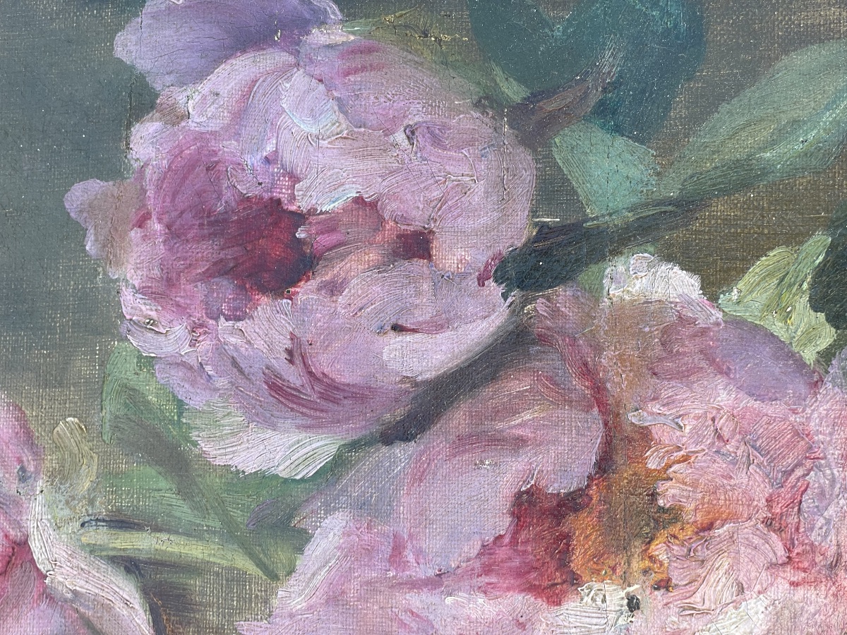 Les roses de Charrier Roy -photo-4