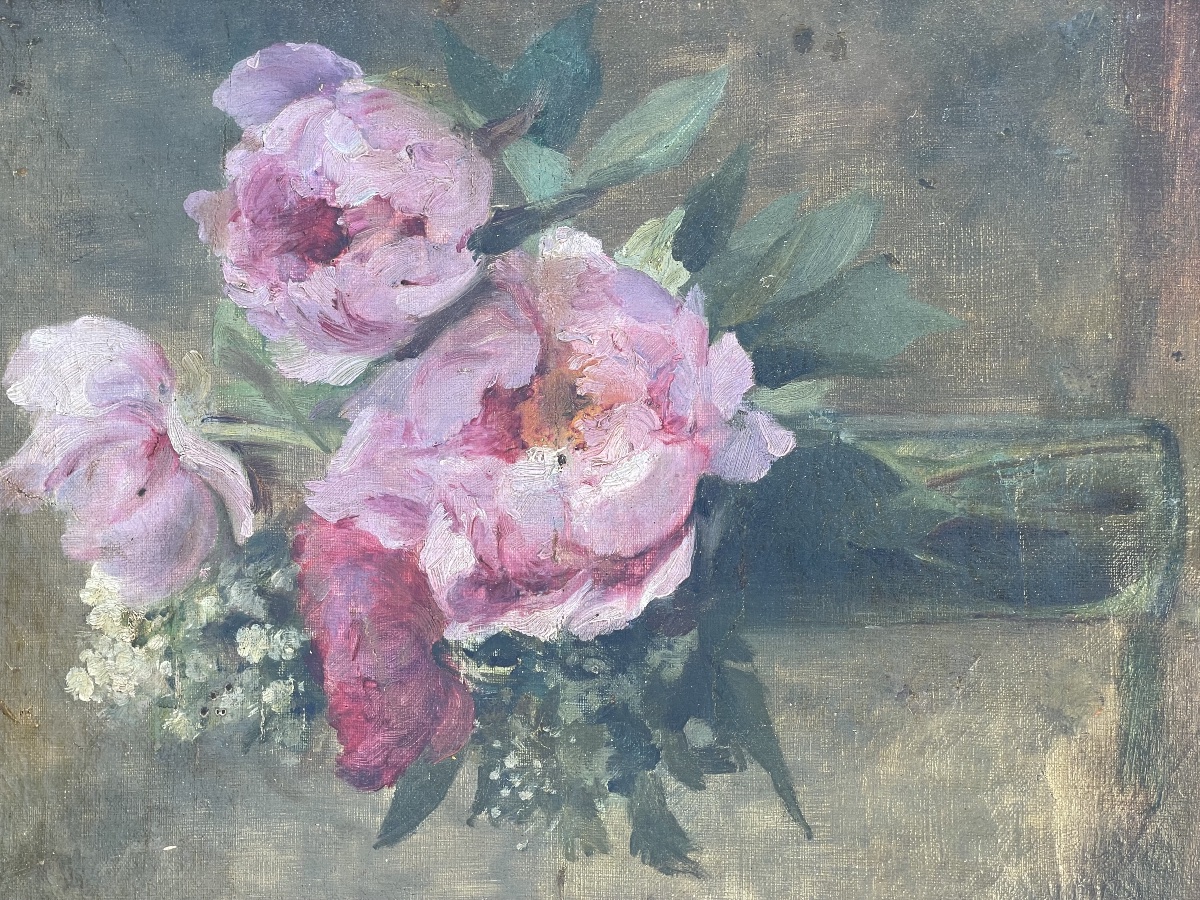 Les roses de Charrier Roy -photo-5