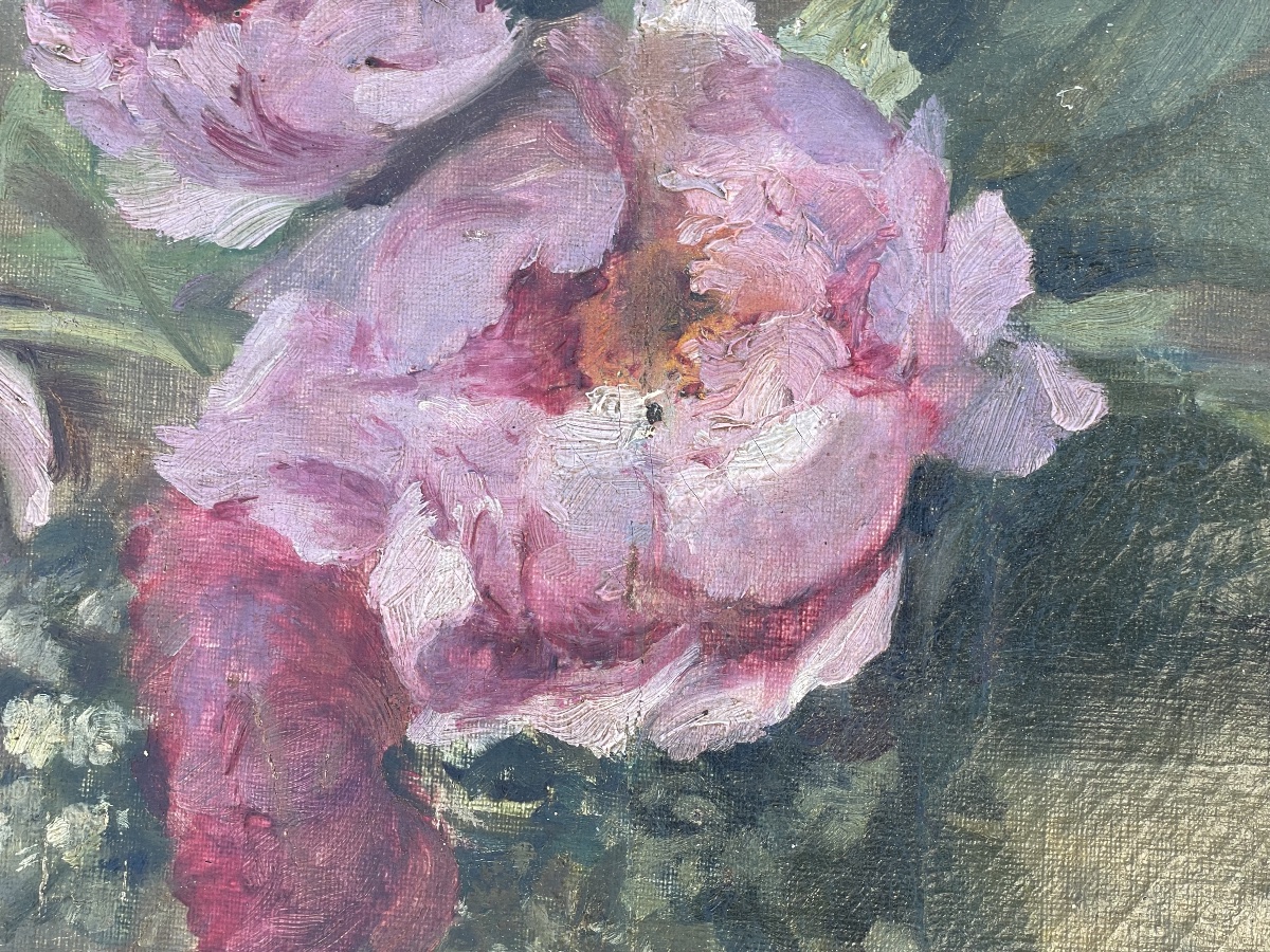 Les roses de Charrier Roy -photo-6