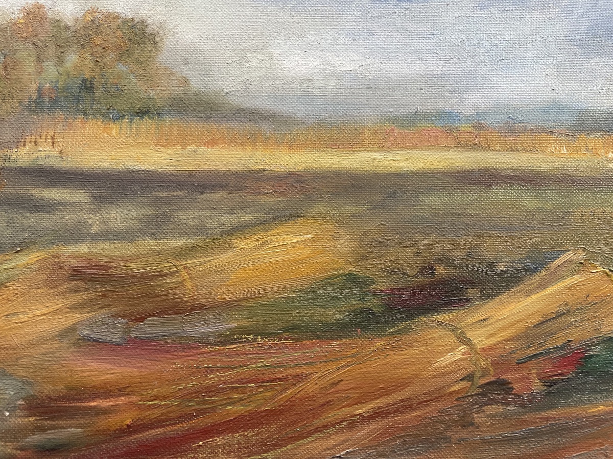 Paysage d’oseraies de Charrier -photo-2