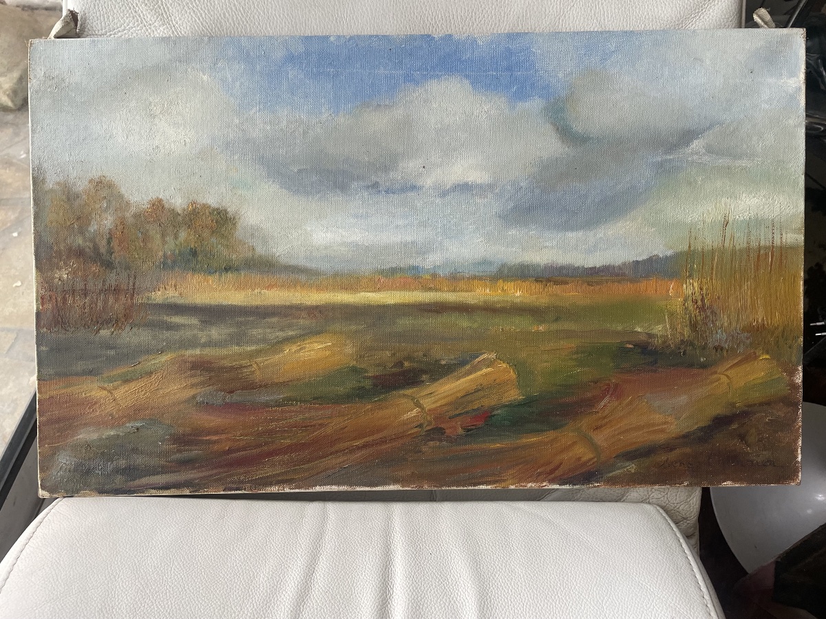 Paysage d’oseraies de Charrier -photo-2