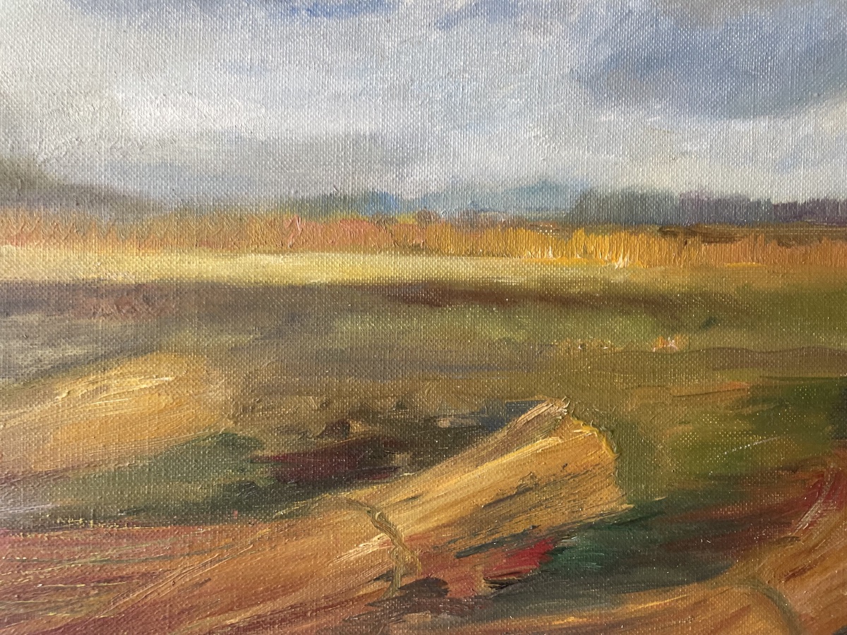Paysage d’oseraies de Charrier -photo-3