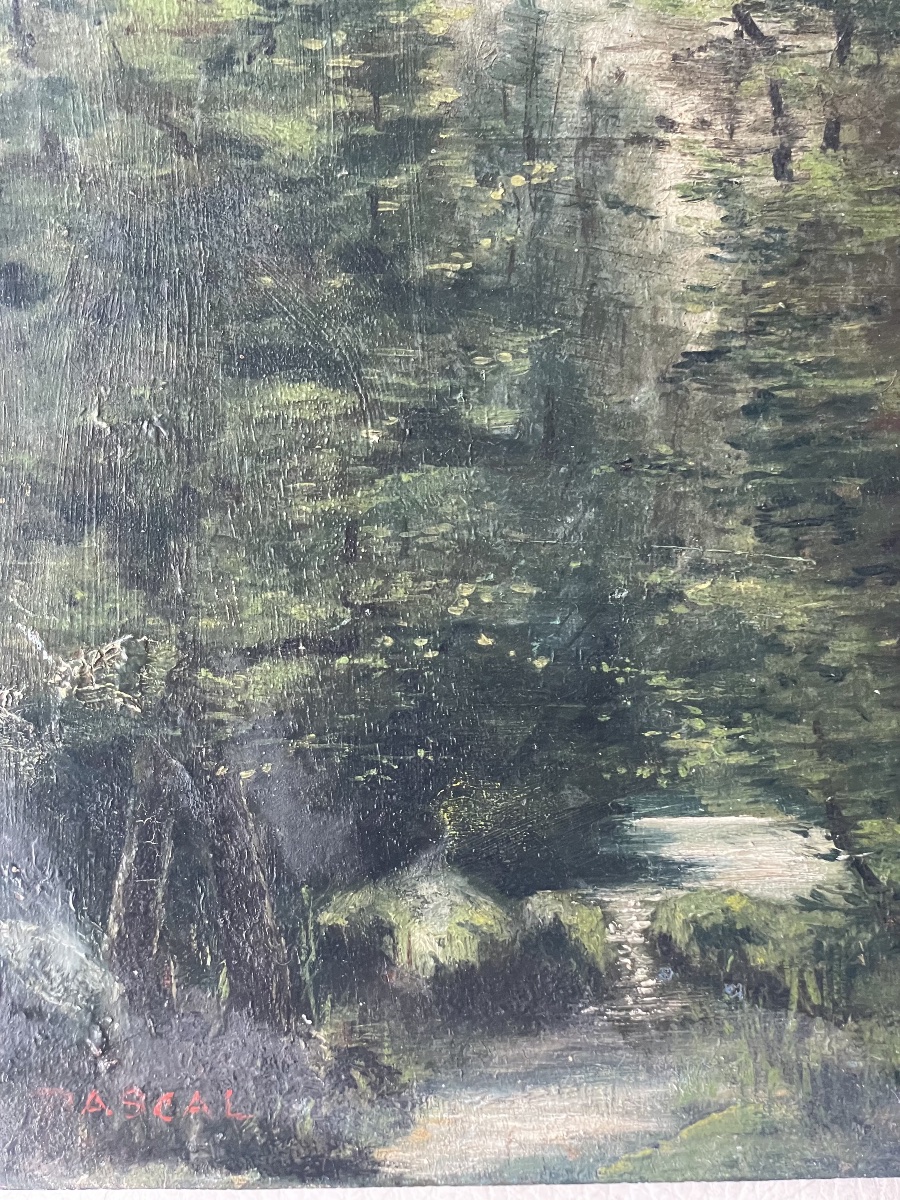 Small Stream In The Forest -photo-1