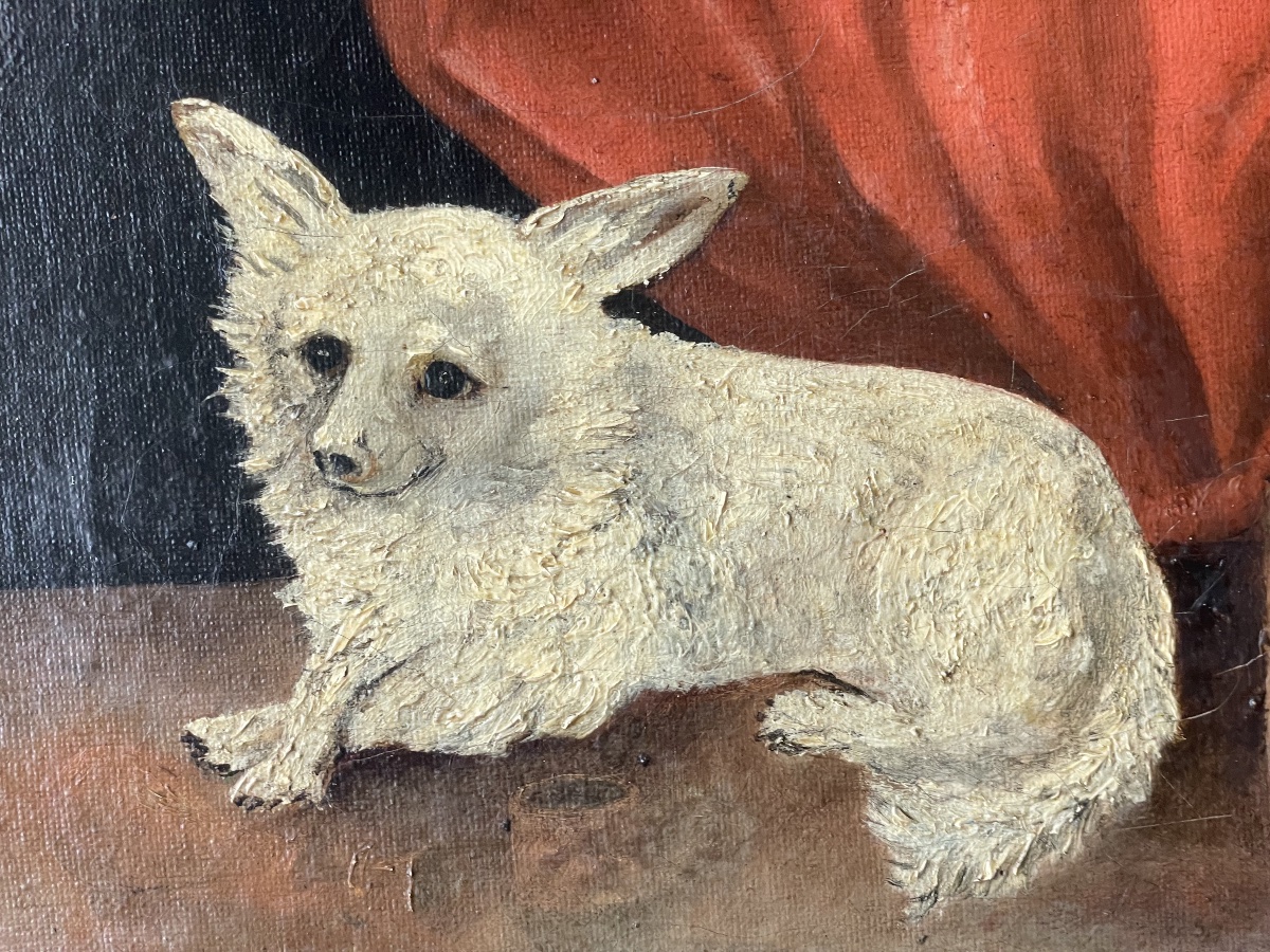 Le petit chien de salon -photo-3