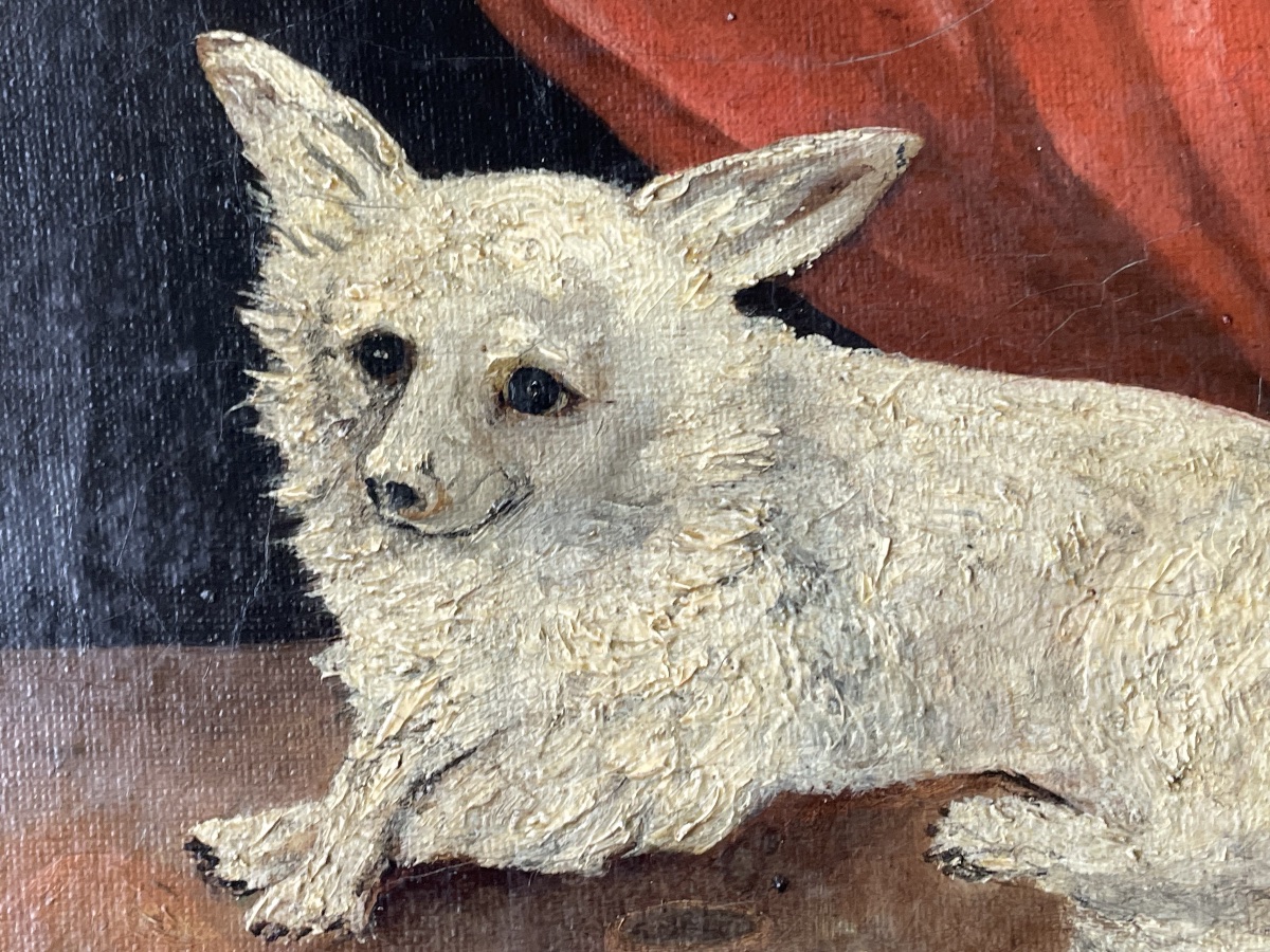 Le petit chien de salon -photo-4