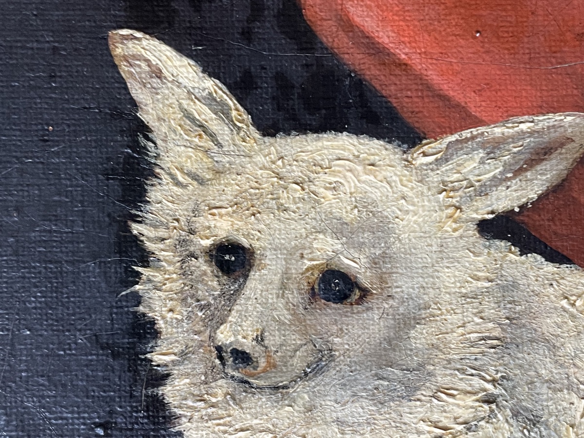 Le petit chien de salon -photo-3