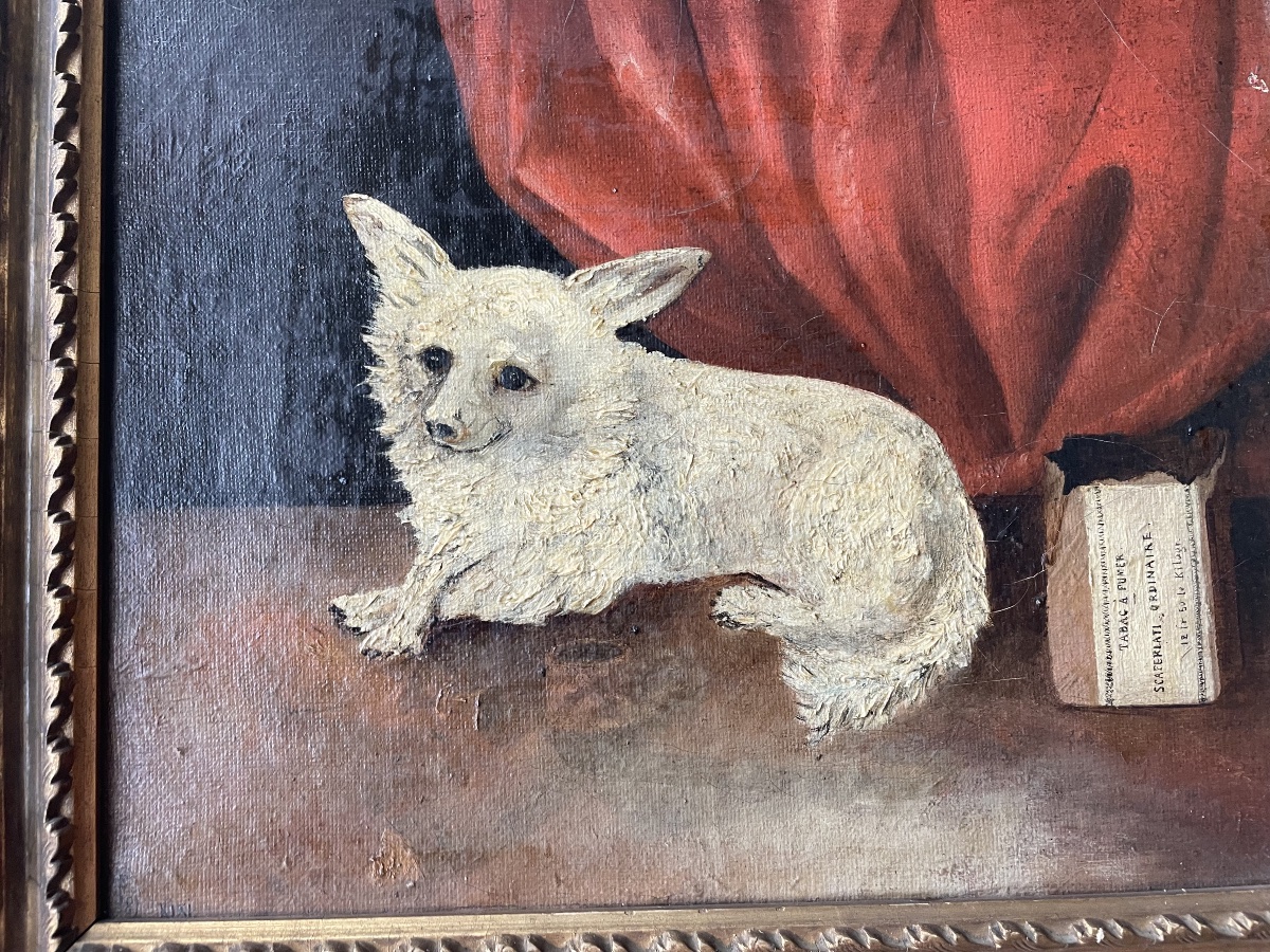 Le petit chien de salon -photo-7