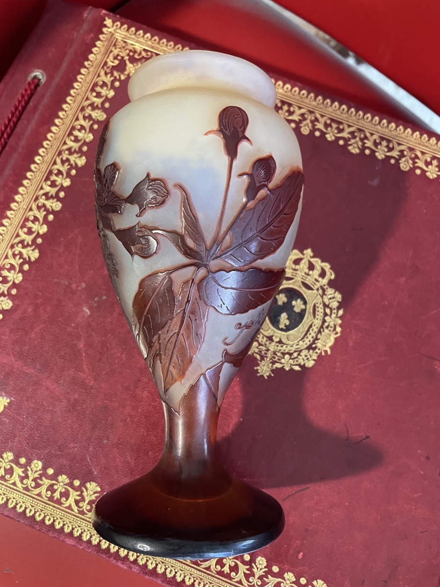 Vase Pate de verre de Gallé -photo-3