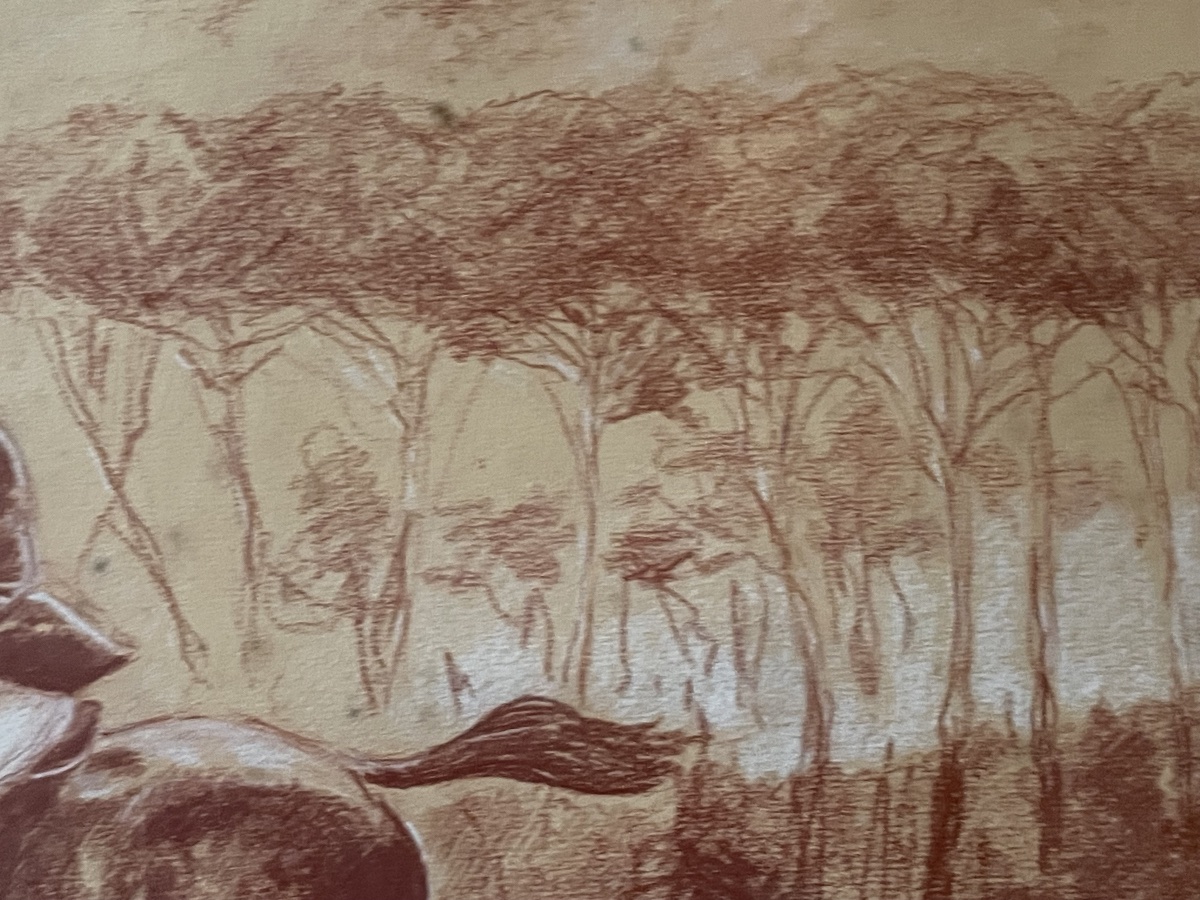 Dessin sanguine dressage cheval -photo-2