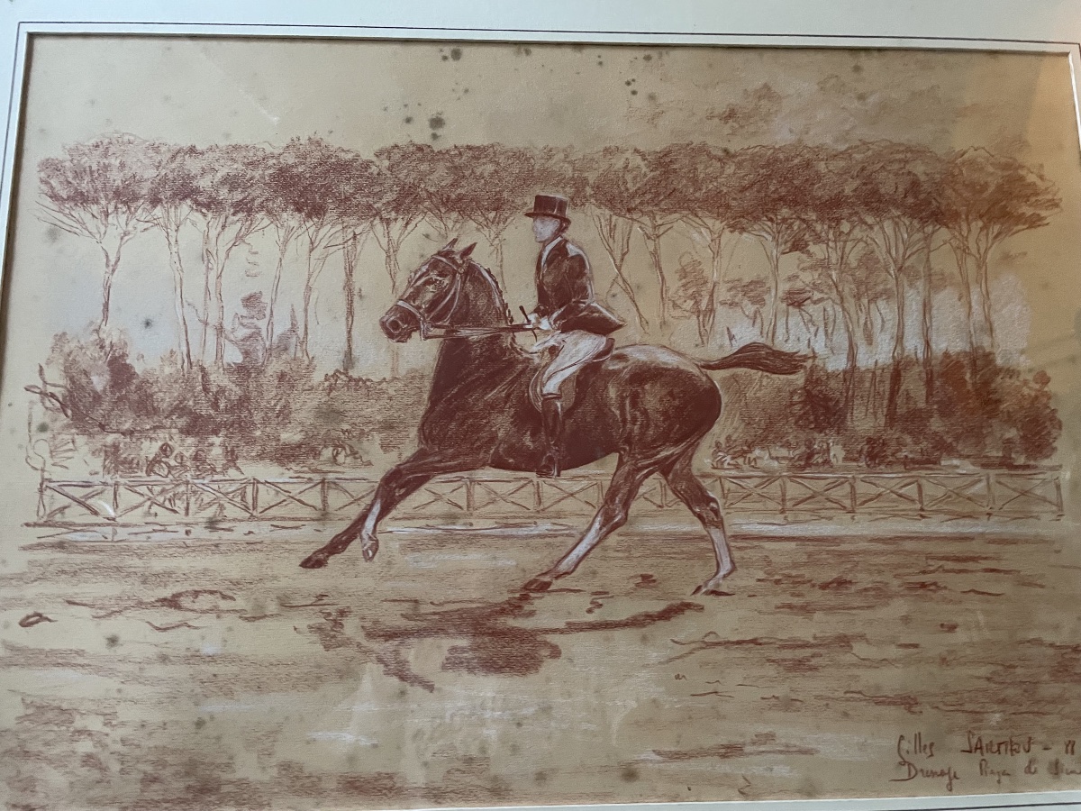 Dessin sanguine dressage cheval -photo-1