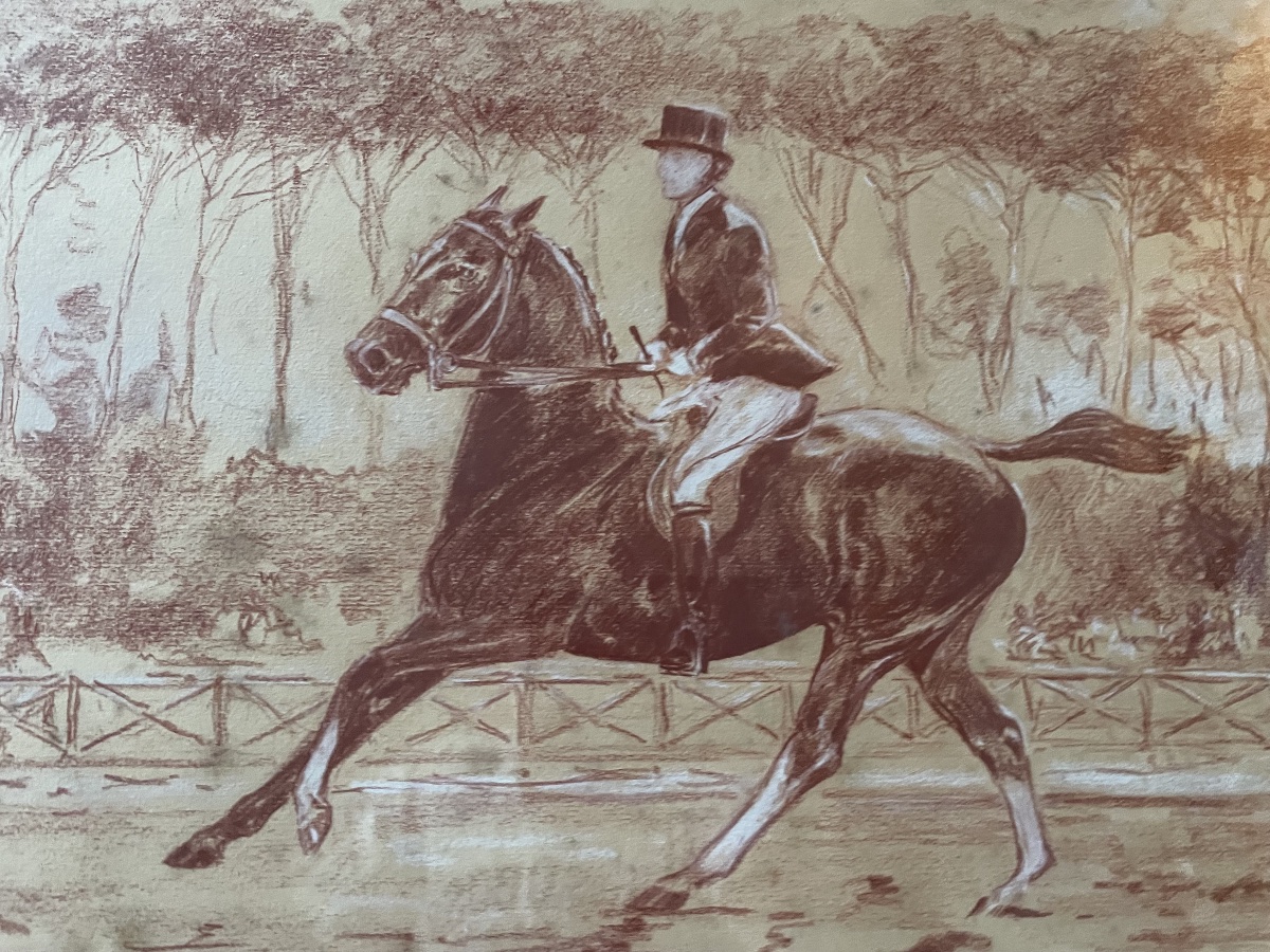 Dessin sanguine dressage cheval -photo-2