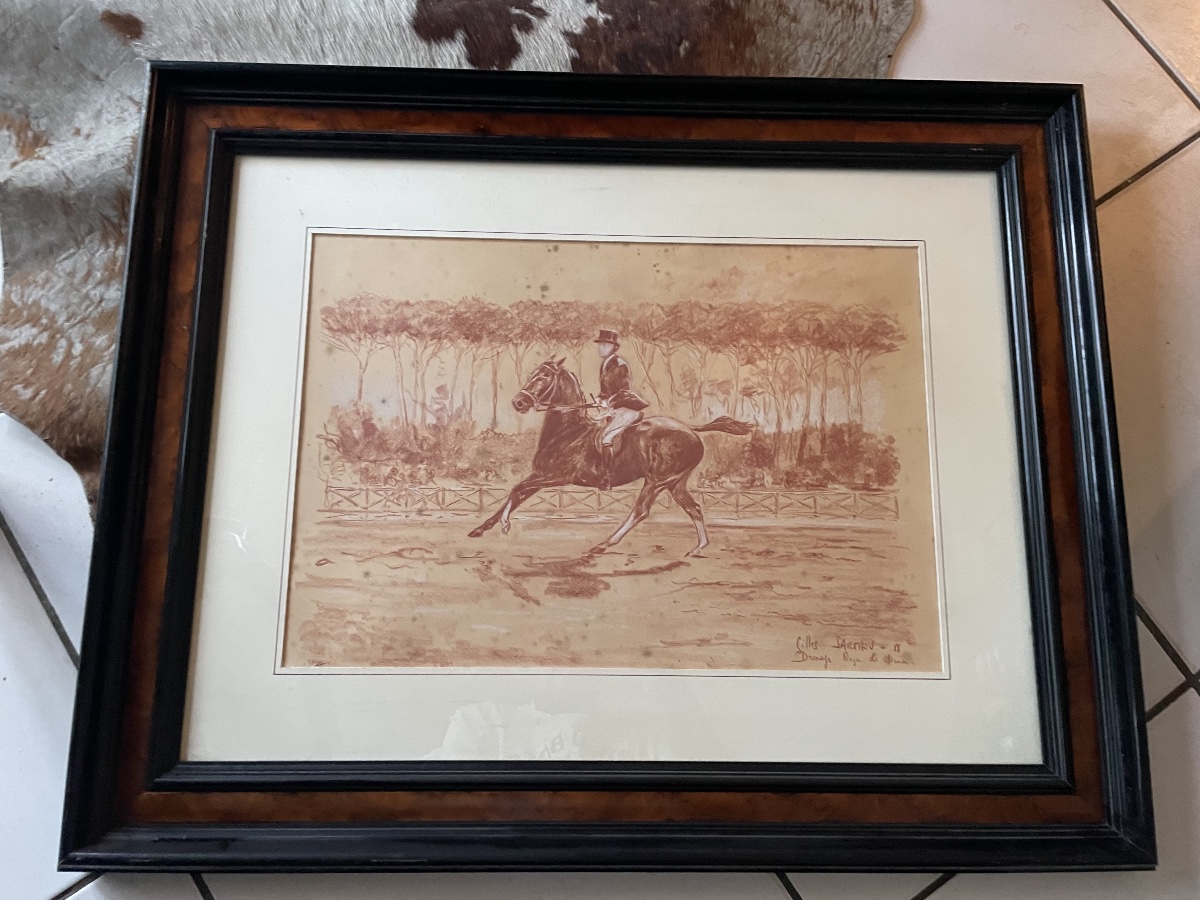 Dessin sanguine dressage cheval -photo-3