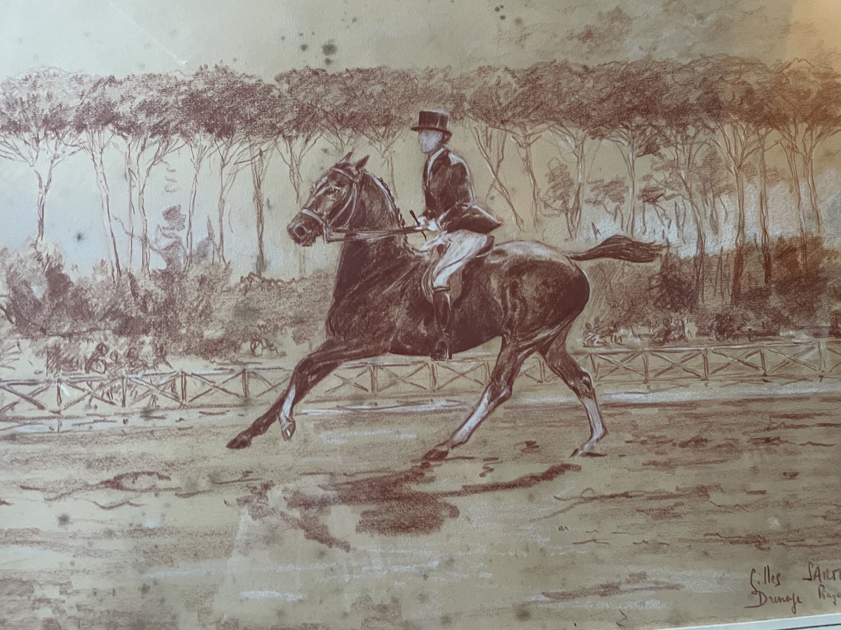 Dessin sanguine dressage cheval -photo-6