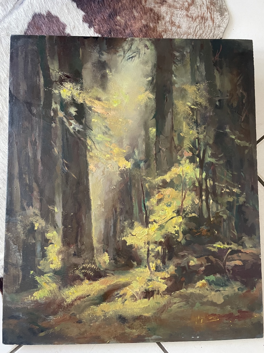 Sunlit Woodland By émile Stahl -photo-3