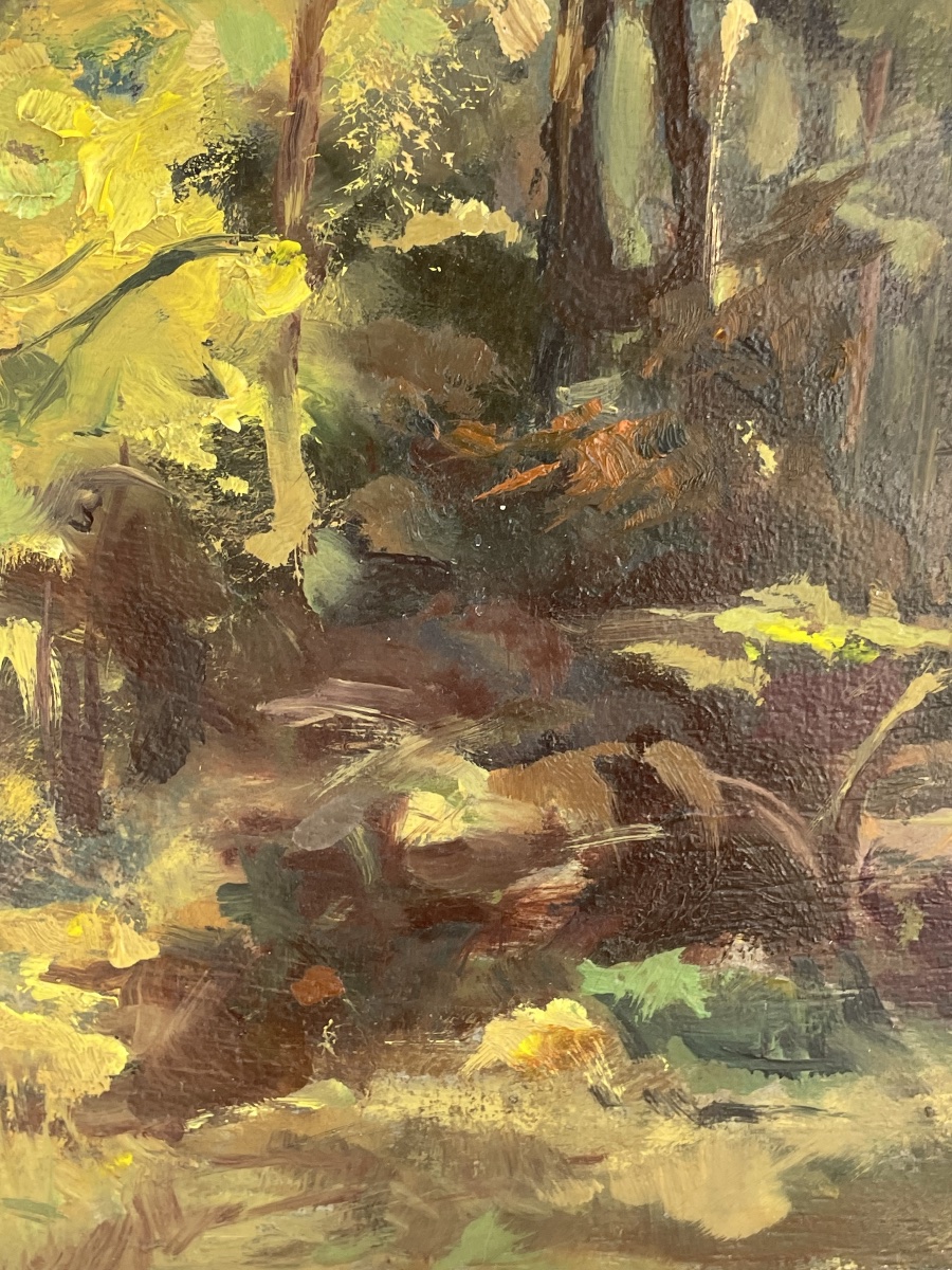 Sunlit Woodland By émile Stahl -photo-3