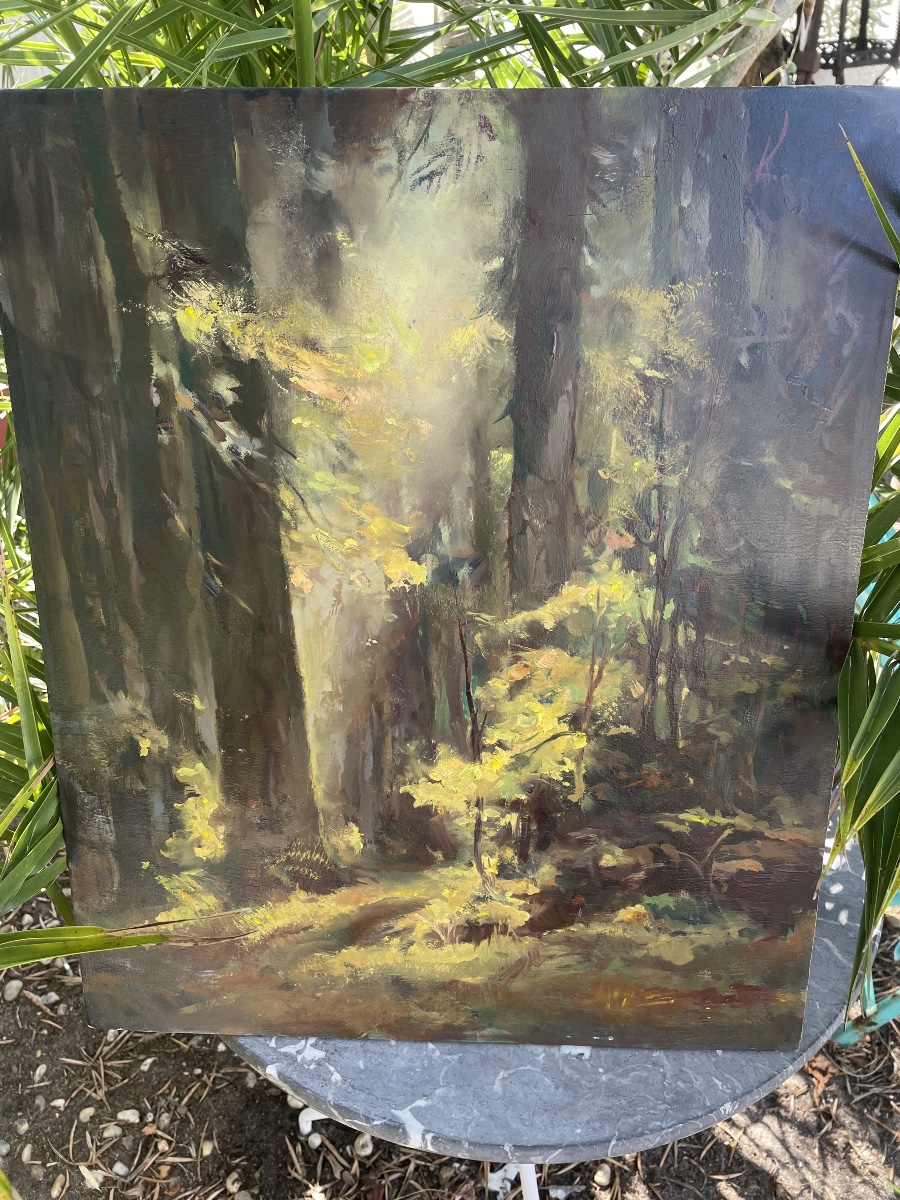 Sunlit Woodland By émile Stahl -photo-6