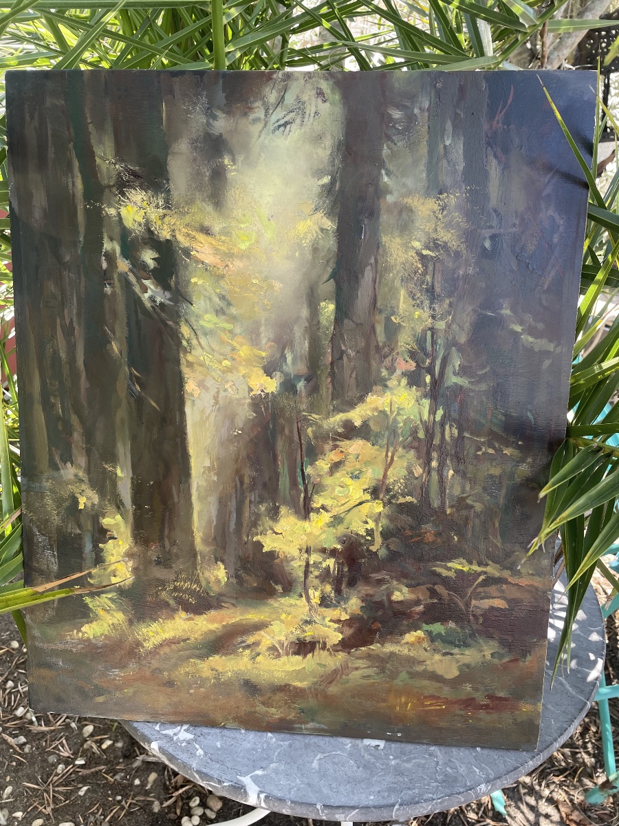 Sunlit Woodland By émile Stahl 