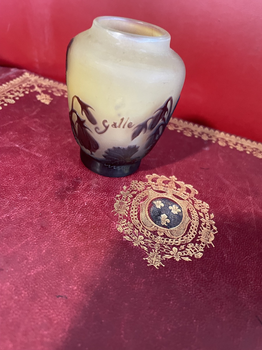 Small Glass Paste Vase By émile Gallé -photo-8
