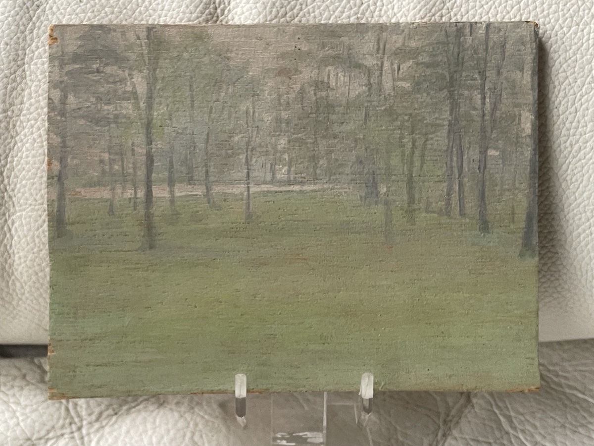 Poplar Wood -photo-2