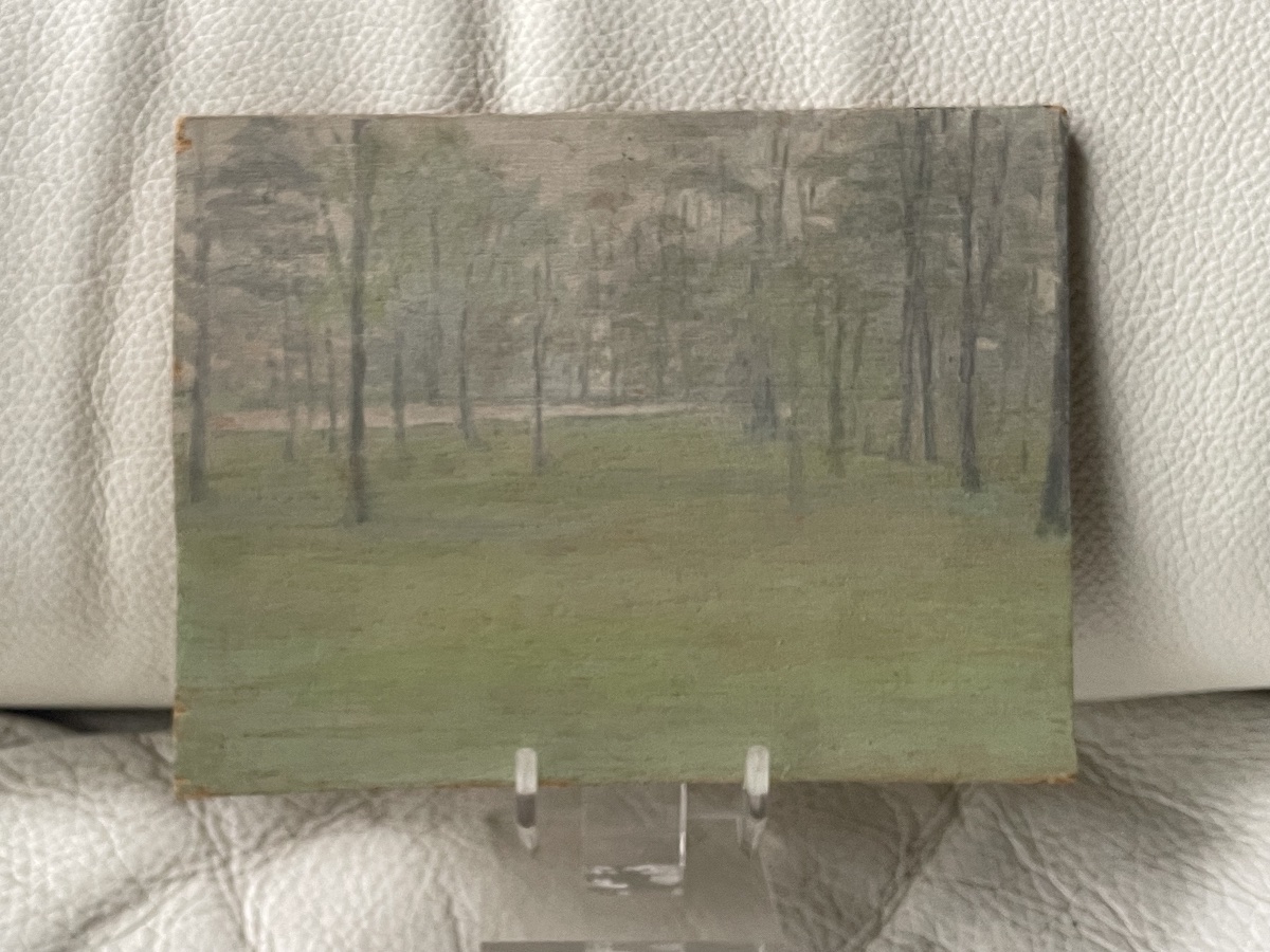Poplar Wood -photo-3