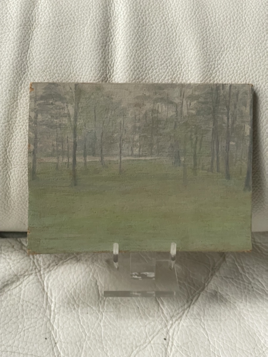Poplar Wood -photo-4