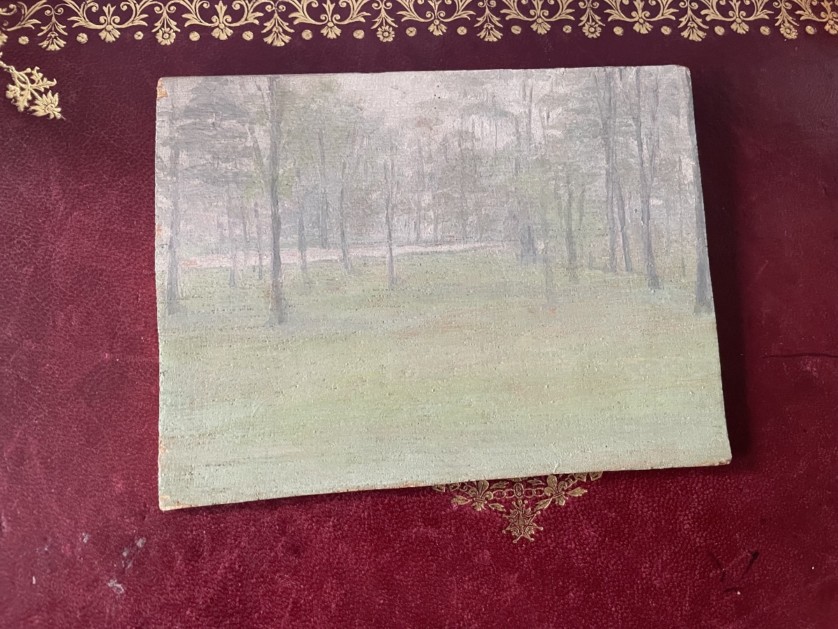 Poplar Wood -photo-6