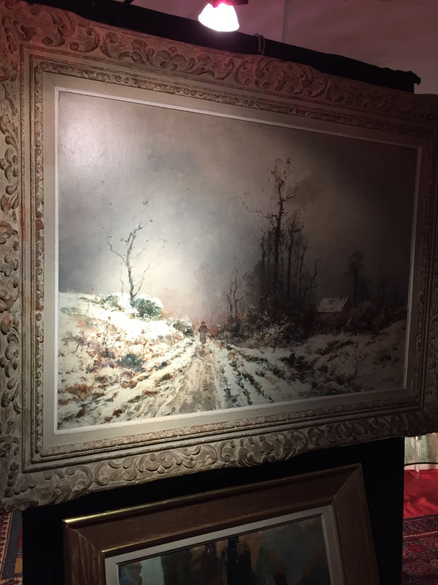 Millot Snow Landscape-photo-2