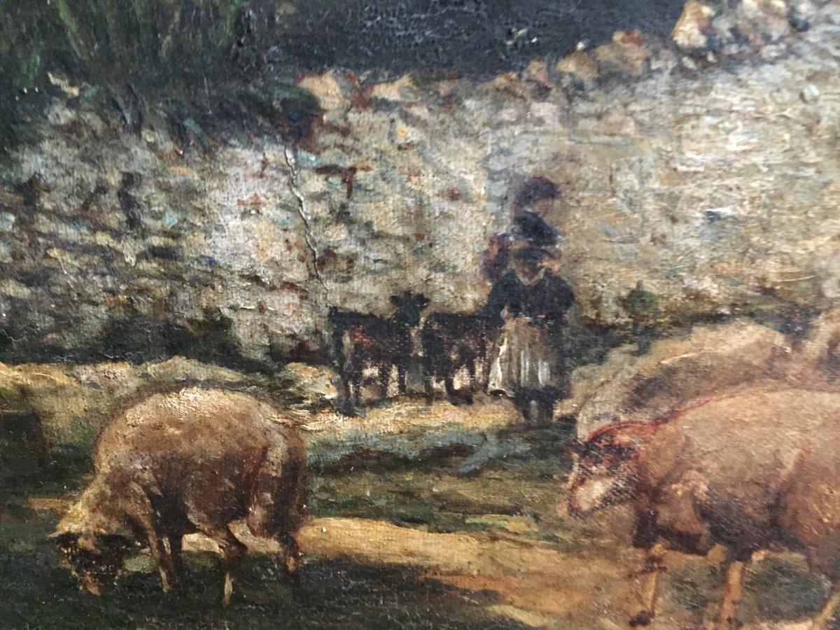 Sheepfold: Goats And Sheep XIXth-photo-3