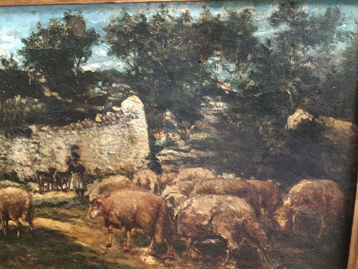 Sheepfold: Goats And Sheep XIXth-photo-7