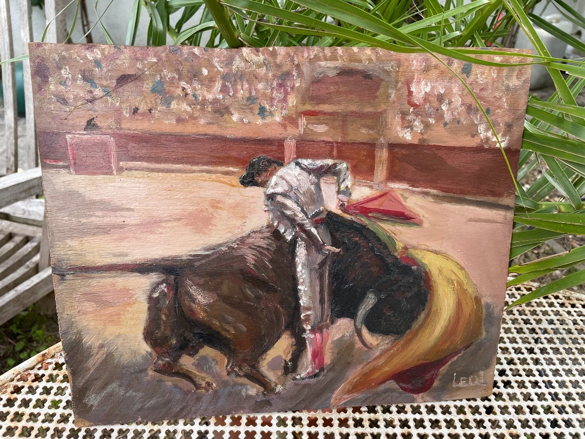 Bullfighting-photo-4