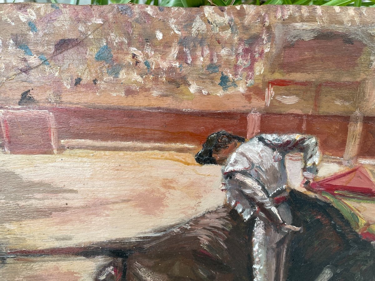 Bullfighting